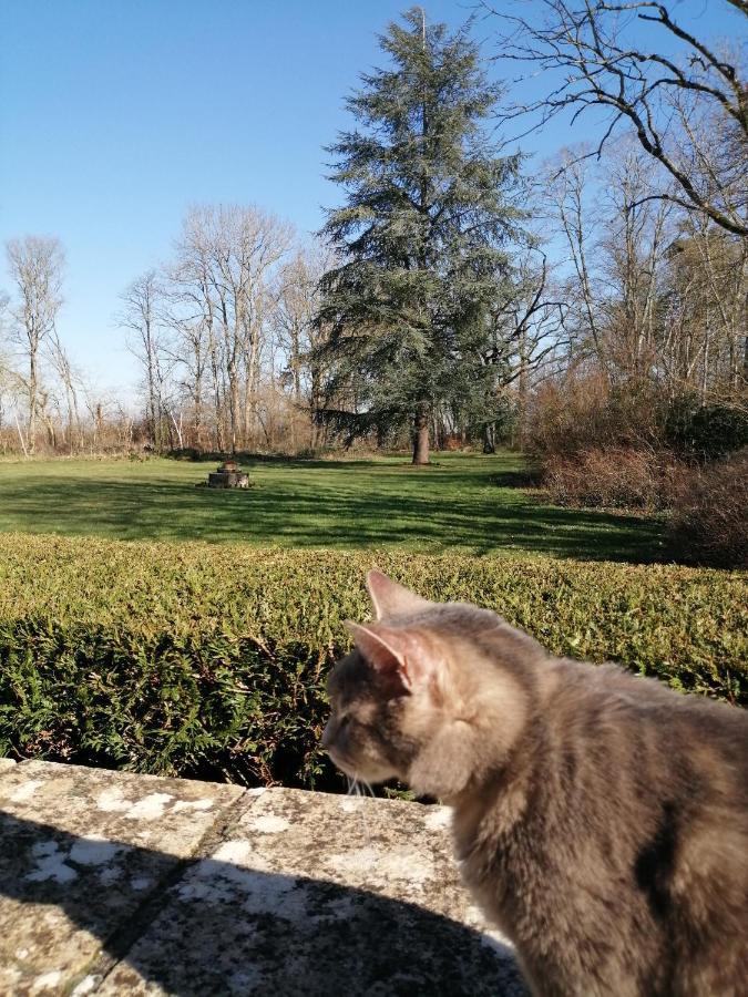 Domaine De Prefond Bed and Breakfast Bengy-sur-Craon Exteriör bild