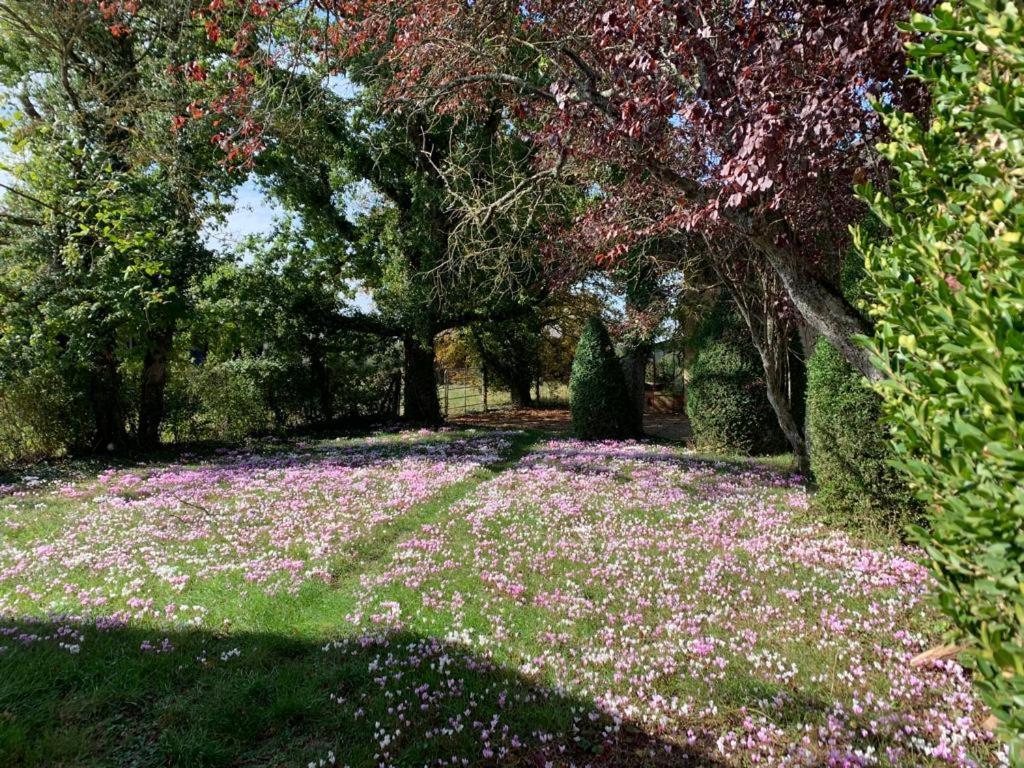 Domaine De Prefond Bed and Breakfast Bengy-sur-Craon Exteriör bild