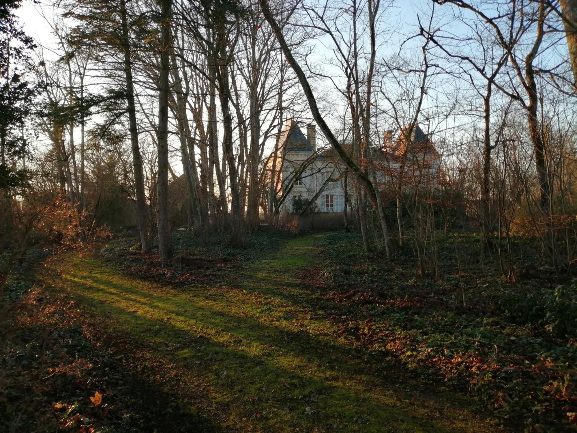 Domaine De Prefond Bed and Breakfast Bengy-sur-Craon Rum bild