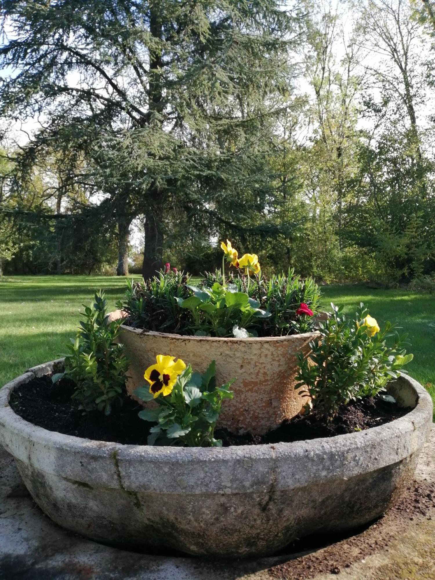 Domaine De Prefond Bed and Breakfast Bengy-sur-Craon Rum bild