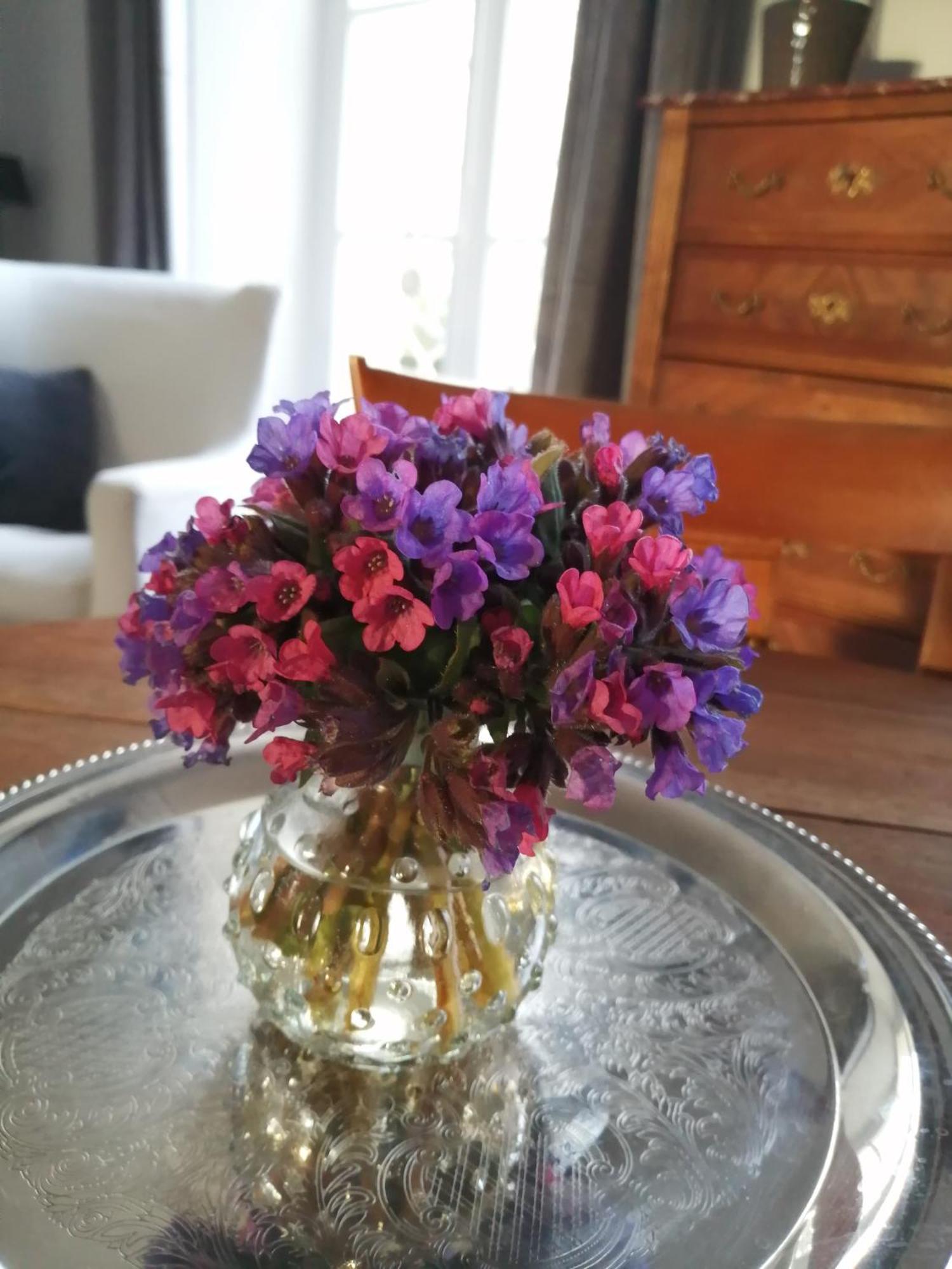 Domaine De Prefond Bed and Breakfast Bengy-sur-Craon Rum bild